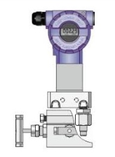 DPR-2000G DIFFERENTIAL PRESSURE TRANSMITTER